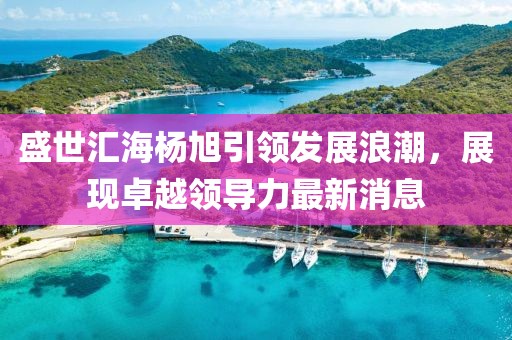 盛世匯海楊旭引領(lǐng)發(fā)展浪潮，展現(xiàn)卓越領(lǐng)導力最新消息