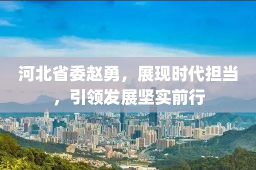 河北省委趙勇，展現(xiàn)時(shí)代擔(dān)當(dāng)，引領(lǐng)發(fā)展堅(jiān)實(shí)前行