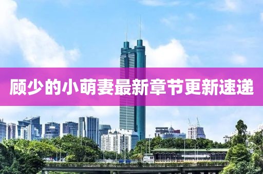 顧少的小萌妻最新章節(jié)更新速遞