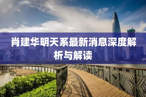 肖建華明天系最新消息深度解析與解讀