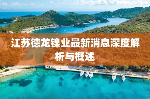 江蘇德龍鎳業(yè)最新消息深度解析與概述