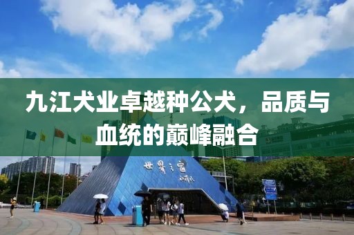 九江犬業(yè)卓越種公犬，品質(zhì)與血統(tǒng)的巔峰融合