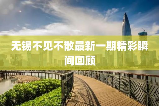 無錫不見不散最新一期精彩瞬間回顧