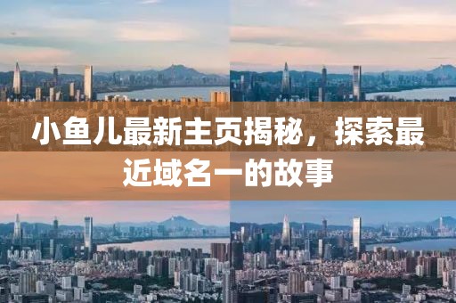小魚兒最新主頁揭秘，探索最近域名一的故事