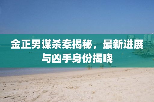金正男謀殺案揭秘，最新進(jìn)展與兇手身份揭曉