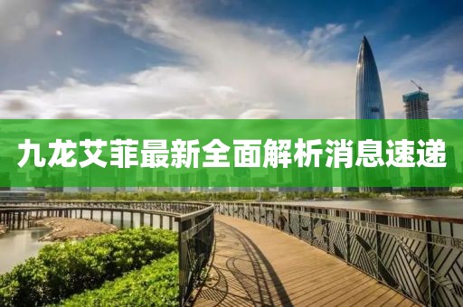 九龍艾菲最新全面解析消息速遞