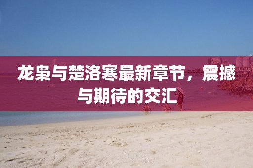 龍梟與楚洛寒最新章節(jié)，震撼與期待的交匯