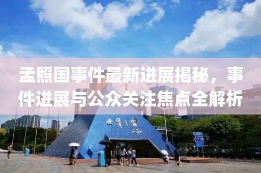 孟照國事件最新進展揭秘，事件進展與公眾關(guān)注焦點全解析