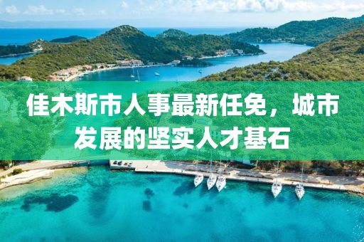 佳木斯市人事最新任免，城市發(fā)展的堅(jiān)實(shí)人才基石
