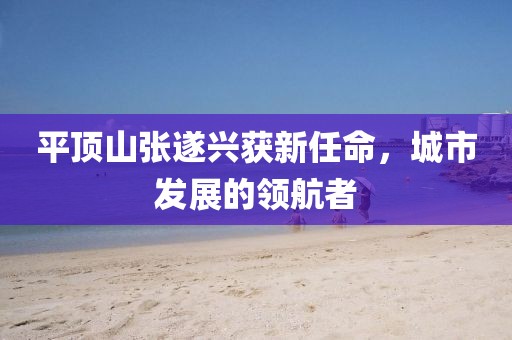 平頂山張遂興獲新任命，城市發(fā)展的領(lǐng)航者