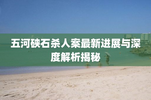 五河硤石殺人案最新進(jìn)展與深度解析揭秘