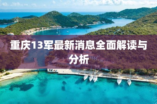 重慶13軍最新消息全面解讀與分析