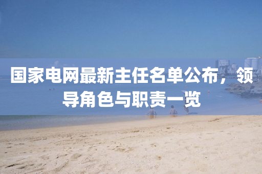 國家電網(wǎng)最新主任名單公布，領(lǐng)導(dǎo)角色與職責(zé)一覽