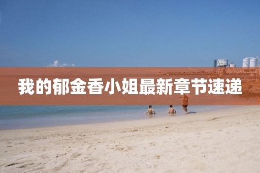 我的郁金香小姐最新章節(jié)速遞