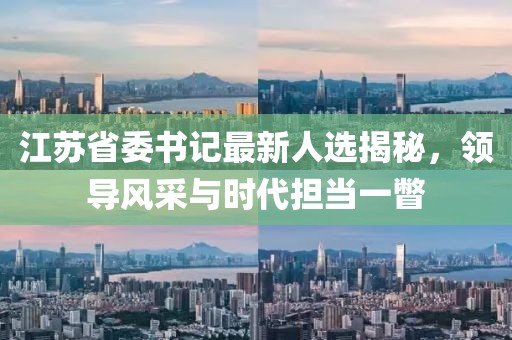 江蘇省委書記最新人選揭秘，領(lǐng)導(dǎo)風(fēng)采與時(shí)代擔(dān)當(dāng)一瞥