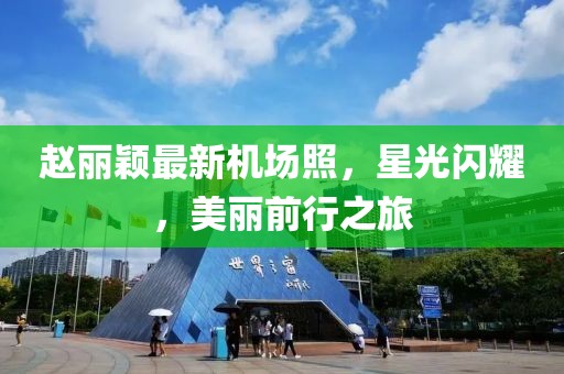 趙麗穎最新機(jī)場(chǎng)照，星光閃耀，美麗前行之旅