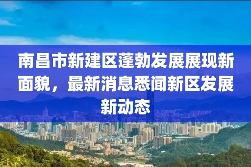 南昌市新建區(qū)蓬勃發(fā)展展現(xiàn)新面貌，最新消息悉聞新區(qū)發(fā)展新動態(tài)
