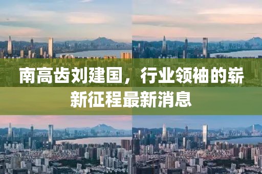 南高齒劉建國，行業(yè)領(lǐng)袖的嶄新征程最新消息