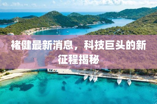 褚健最新消息，科技巨頭的新征程揭秘