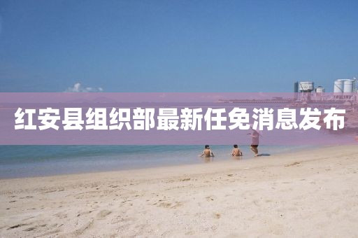 紅安縣組織部最新任免消息發(fā)布