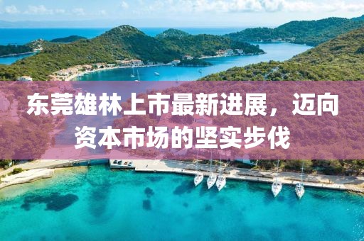 東莞雄林上市最新進(jìn)展，邁向資本市場(chǎng)的堅(jiān)實(shí)步伐