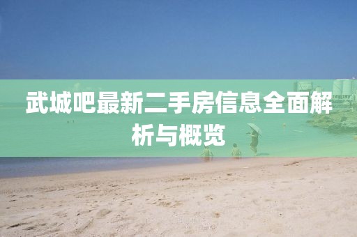 武城吧最新二手房信息全面解析與概覽