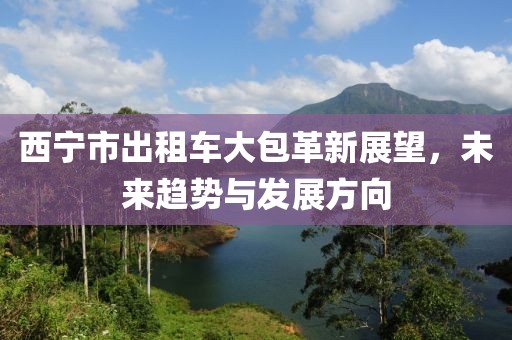 西寧市出租車大包革新展望，未來趨勢與發(fā)展方向