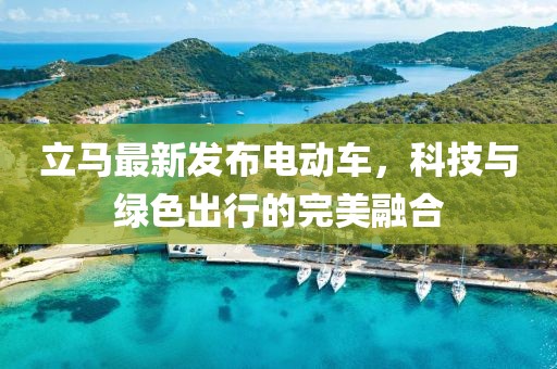 立馬最新發(fā)布電動(dòng)車，科技與綠色出行的完美融合