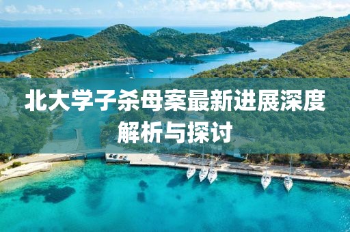 北大學子殺母案最新進展深度解析與探討