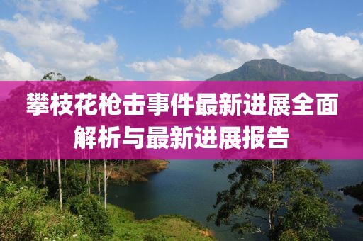 攀枝花槍擊事件最新進(jìn)展全面解析與最新進(jìn)展報(bào)告
