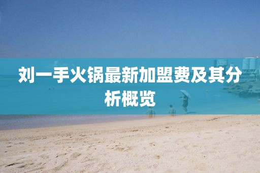 劉一手火鍋?zhàn)钚录用速M(fèi)及其分析概覽