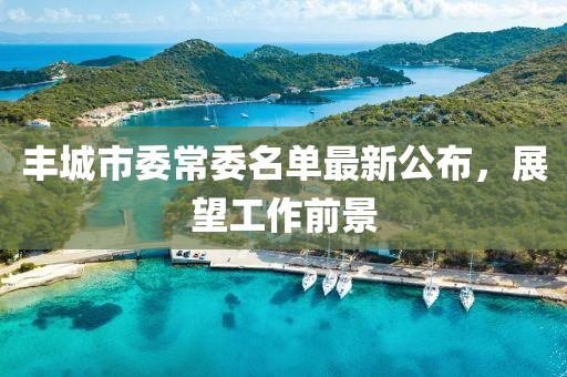 豐城市委常委名單最新公布，展望工作前景