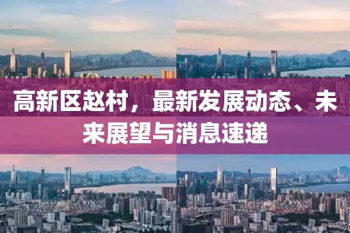 高新區(qū)趙村，最新發(fā)展動(dòng)態(tài)、未來展望與消息速遞