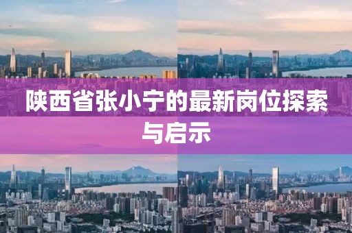 陜西省張小寧的最新崗位探索與啟示