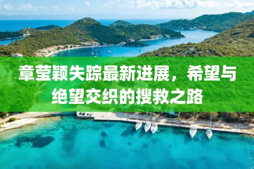 章瑩穎失蹤最新進(jìn)展，希望與絕望交織的搜救之路