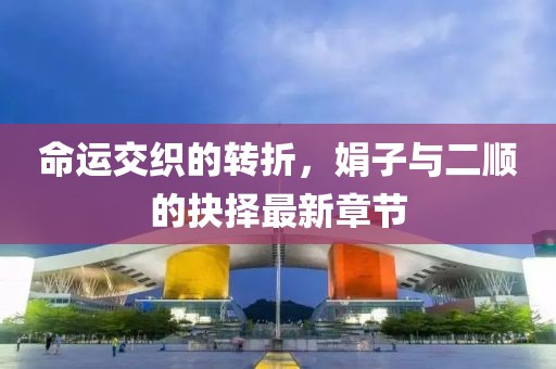 命運(yùn)交織的轉(zhuǎn)折，娟子與二順的抉擇最新章節(jié)