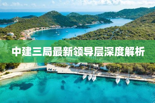 中建三局最新領導層深度解析