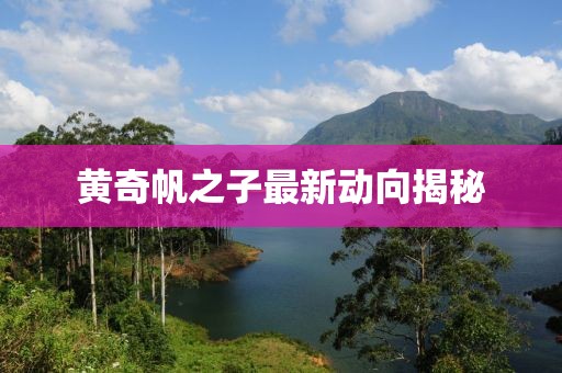 黃奇帆之子最新動向揭秘