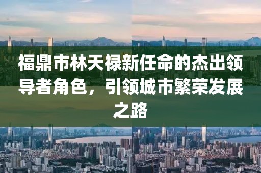 福鼎市林天祿新任命的杰出領導者角色，引領城市繁榮發(fā)展之路