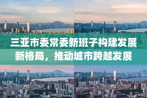 三亞市委常委新班子構(gòu)建發(fā)展新格局，推動(dòng)城市跨越發(fā)展