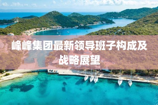 峰峰集團(tuán)最新領(lǐng)導(dǎo)班子構(gòu)成及戰(zhàn)略展望