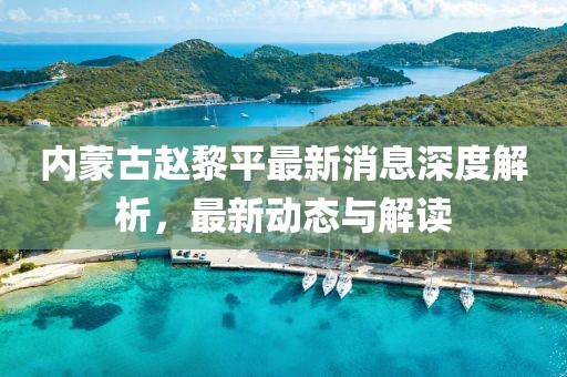 內(nèi)蒙古趙黎平最新消息深度解析，最新動(dòng)態(tài)與解讀