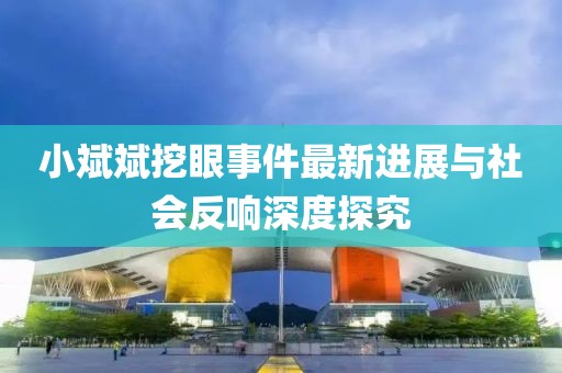 小斌斌挖眼事件最新進(jìn)展與社會(huì)反響深度探究