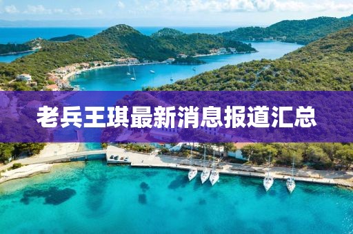 老兵王琪最新消息報道匯總