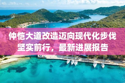 仲愷大道改造邁向現(xiàn)代化步伐堅實前行，最新進展報告