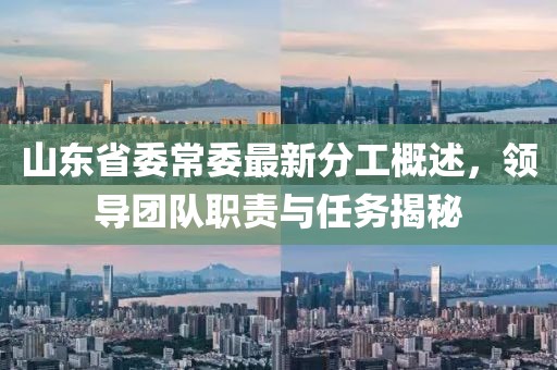 山東省委常委最新分工概述，領(lǐng)導(dǎo)團(tuán)隊職責(zé)與任務(wù)揭秘