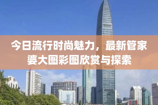 今日流行時尚魅力，最新管家婆大圖彩圖欣賞與探索
