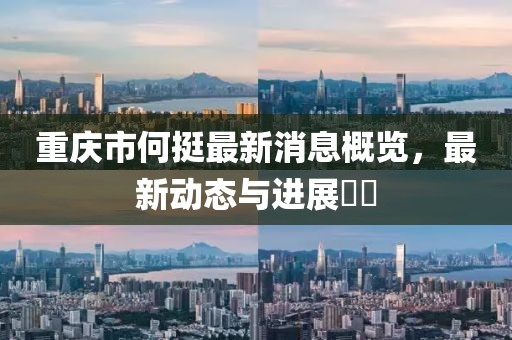 重慶市何挺最新消息概覽，最新動(dòng)態(tài)與進(jìn)展??