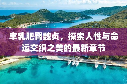 豐乳肥臀魏貞，探索人性與命運交織之美的最新章節(jié)