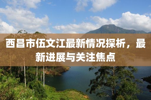 西昌市伍文江最新情況探析，最新進(jìn)展與關(guān)注焦點